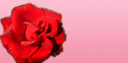 Gewinnspiel